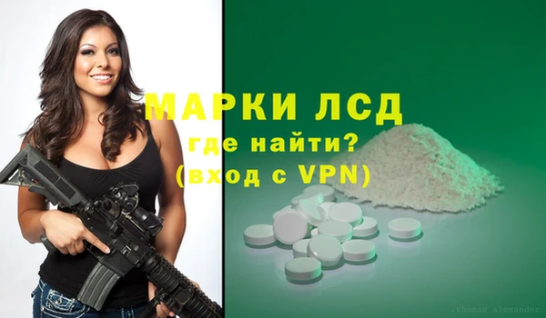 шишки Абинск