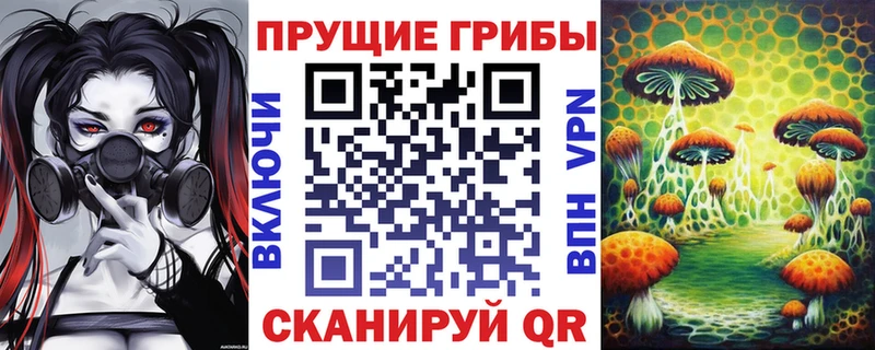 Галлюциногенные грибы ЛСД  Куровское 